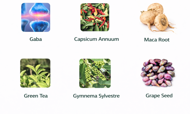 ingredientes.png